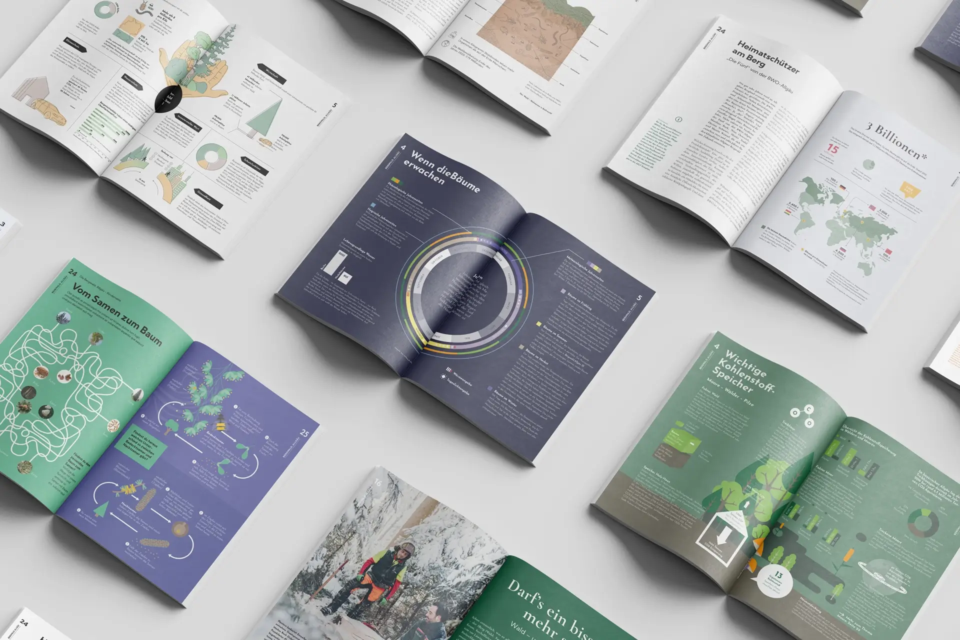 Verschiedene Seiten des Innenteils des Bergwald Magazines.